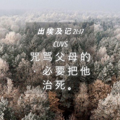 Picture 04 - 出 埃 及 记 21:17 CUVS - 咒 骂 父 母 的 ， 必 要 把 他 治 死 - Bible Verse Picture