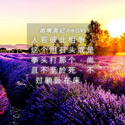 Picture 04 - 出 埃 及 记 21:18 CUVS - 人 若 彼 此 相 争 ， 这 个 用 石 头 - Bible Verse Picture
