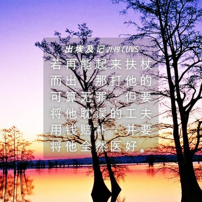 Picture 04 - 出 埃 及 记 21:19 CUVS - 若 再 能 起 来 扶 杖 而 出 ， 那 打 - Bible Verse Picture