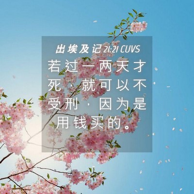 Picture 04 - 出 埃 及 记 21:21 CUVS - 若 过 一 两 天 才 死 ， 就 可 以 不 - Bible Verse Picture
