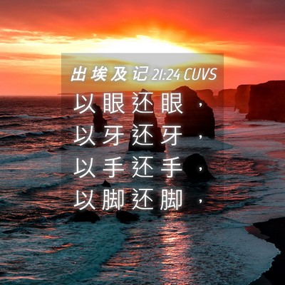 Picture 04 - 出 埃 及 记 21:24 CUVS - 以 眼 还 眼 ， 以 牙 还 牙 ， 以 手 - Bible Verse Picture