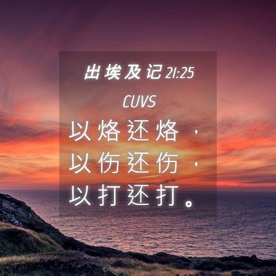 Picture 04 - 出 埃 及 记 21:25 CUVS - 以 烙 还 烙 ， 以 伤 还 伤 ， 以 打 - Bible Verse Picture