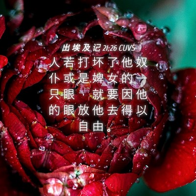 Picture 04 - 出 埃 及 记 21:26 CUVS - 人 若 打 坏 了 他 奴 仆 或 是 婢 女 - Bible Verse Picture