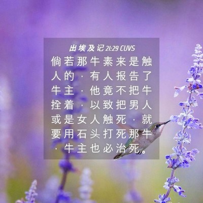 Picture 04 - 出 埃 及 记 21:29 CUVS - 倘 若 那 牛 素 来 是 触 人 的 ， 有 - Bible Verse Picture