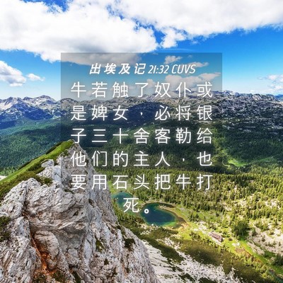 Picture 04 - 出 埃 及 记 21:32 CUVS - 牛 若 触 了 奴 仆 或 是 婢 女 ， 必 - Bible Verse Picture