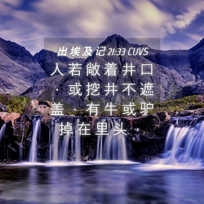 Picture 04 - 出 埃 及 记 21:33 CUVS - 人 若 敞 着 井 口 ， 或 挖 井 不 遮 - Bible Verse Picture