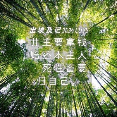 Picture 04 - 出 埃 及 记 21:34 CUVS - 井 主 要 拿 钱 赔 还 本 主 人 ， 死 - Bible Verse Picture