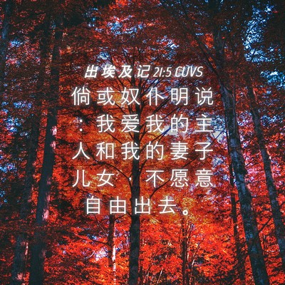 Picture 04 - 出 埃 及 记 21:5 CUVS - 倘 或 奴 仆 明 说 ： 我 爱 我 的 主 - Bible Verse Picture