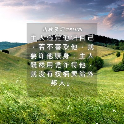 Picture 04 - 出 埃 及 记 21:8 CUVS - 主 人 选 定 他 归 自 己 ， 若 不 喜 - Bible Verse Picture