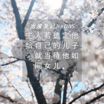 Picture 04 - 出 埃 及 记 21:9 CUVS - 主 人 若 选 定 他 给 自 己 的 儿 子 - Bible Verse Picture