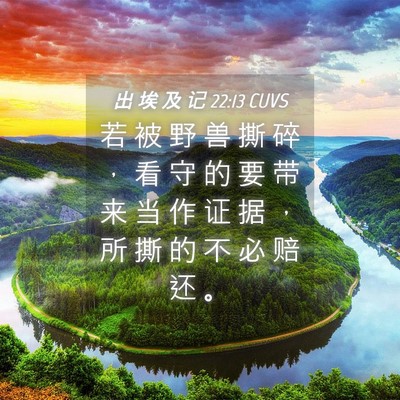 Picture 04 - 出 埃 及 记 22:13 CUVS - 若 被 野 兽 撕 碎 ， 看 守 的 要 带 - Bible Verse Picture