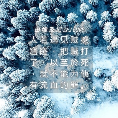 Picture 04 - 出 埃 及 记 22:2 CUVS - 人 若 遇 见 贼 挖 窟 窿 ， 把 贼 打 - Bible Verse Picture