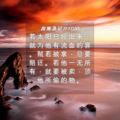 Picture 04 - 出 埃 及 记 22:3 CUVS - 若 太 阳 已 经 出 来 ， 就 为 他 有 - Bible Verse Picture