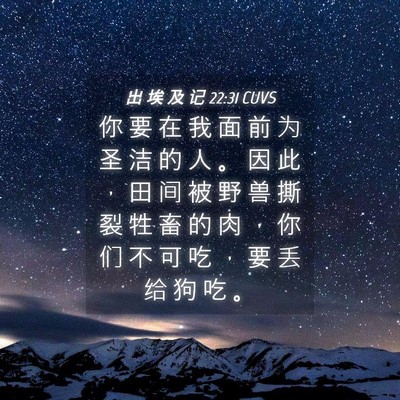 Picture 04 - 出 埃 及 记 22:31 CUVS - 你 要 在 我 面 前 为 圣 洁 的 人 。 - Bible Verse Picture