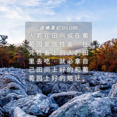 Picture 04 - 出 埃 及 记 22:5 CUVS - 人 若 在 田 间 或 在 葡 萄 园 里 放 - Bible Verse Picture