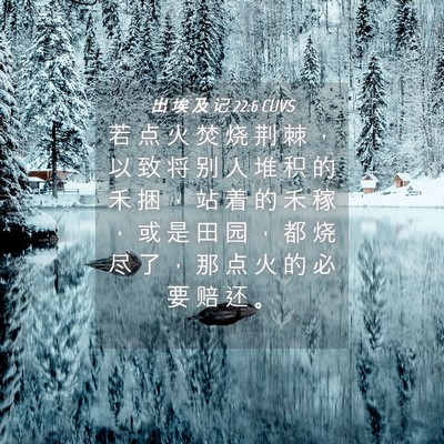 Picture 04 - 出 埃 及 记 22:6 CUVS - 若 点 火 焚 烧 荆 棘 ， 以 致 将 别 - Bible Verse Picture