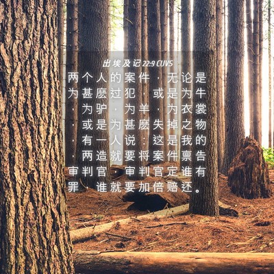 Picture 04 - 出 埃 及 记 22:9 CUVS - 两 个 人 的 案 件 ， 无 论 是 为 甚 - Bible Verse Picture