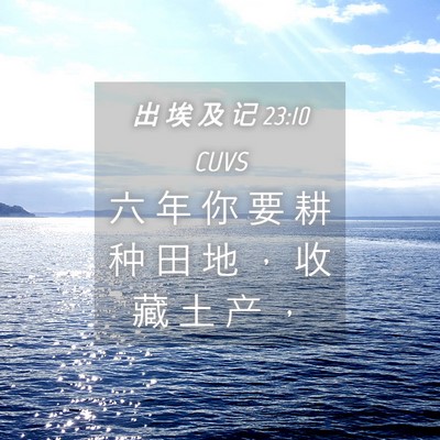 Picture 04 - 出 埃 及 记 23:10 CUVS - 六 年 你 要 耕 种 田 地 ， 收 藏 土 - Bible Verse Picture