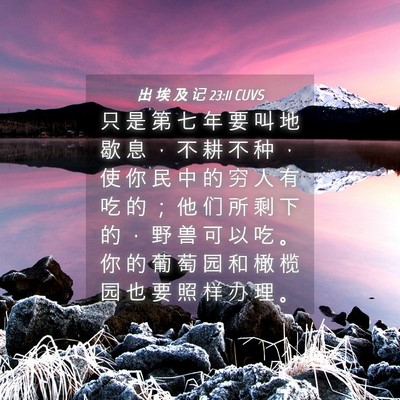 Picture 04 - 出 埃 及 记 23:11 CUVS - 只 是 第 七 年 要 叫 地 歇 息 ， 不 - Bible Verse Picture