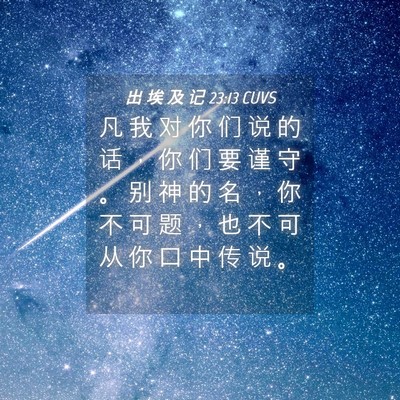Picture 04 - 出 埃 及 记 23:13 CUVS - 凡 我 对 你 们 说 的 话 ， 你 们 要 - Bible Verse Picture