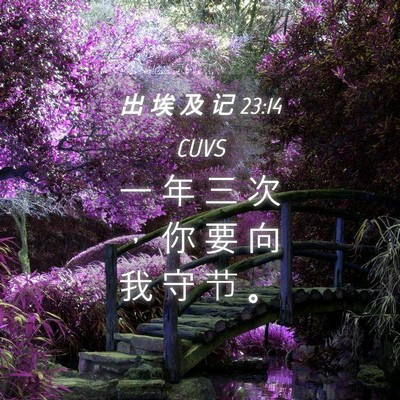 Picture 04 - 出 埃 及 记 23:14 CUVS - 一 年 三 次 ， 你 要 向 我 守 节 - Bible Verse Picture