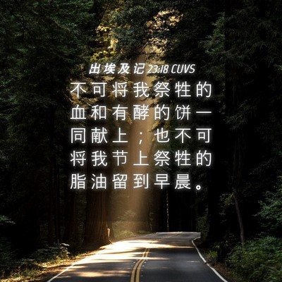 Picture 04 - 出 埃 及 记 23:18 CUVS - 不 可 将 我 祭 牲 的 血 和 有 酵 的 - Bible Verse Picture