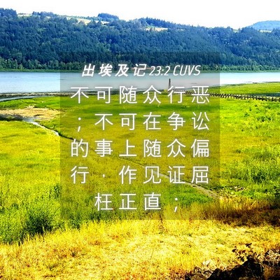 Picture 04 - 出 埃 及 记 23:2 CUVS - 不 可 随 众 行 恶 ； 不 可 在 争 讼 - Bible Verse Picture