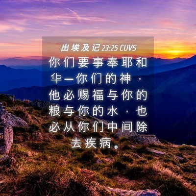 Picture 04 - 出 埃 及 记 23:25 CUVS - 你 们 要 事 奉 耶 和 华 ─ 你 们 的 - Bible Verse Picture