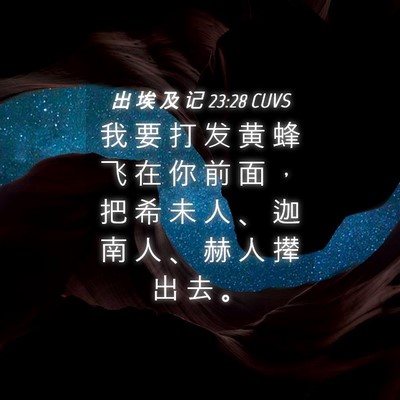 Picture 04 - 出 埃 及 记 23:28 CUVS - 我 要 打 发 黄 蜂 飞 在 你 前 面 ， - Bible Verse Picture