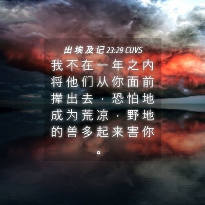Picture 04 - 出 埃 及 记 23:29 CUVS - 我 不 在 一 年 之 内 将 他 们 从 你 - Bible Verse Picture