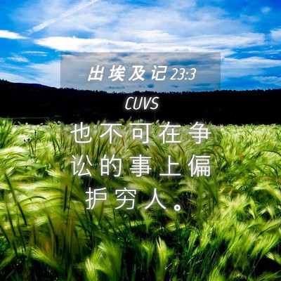 Picture 04 - 出 埃 及 记 23:3 CUVS - 也 不 可 在 争 讼 的 事 上 偏 护 穷 - Bible Verse Picture