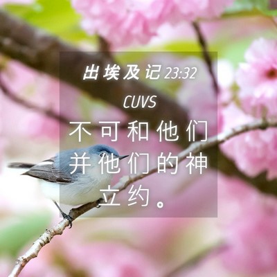 Picture 04 - 出 埃 及 记 23:32 CUVS - 不 可 和 他 们 并 他 们 的 神 立 约 - Bible Verse Picture