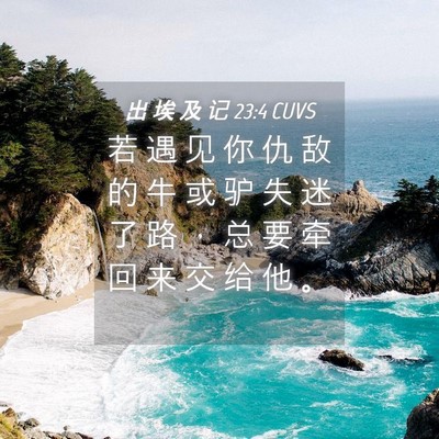 Picture 04 - 出 埃 及 记 23:4 CUVS - 若 遇 见 你 仇 敌 的 牛 或 驴 失 迷 - Bible Verse Picture