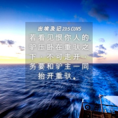 Picture 04 - 出 埃 及 记 23:5 CUVS - 若 看 见 恨 你 人 的 驴 压 卧 在 重 - Bible Verse Picture