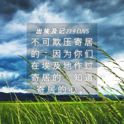 Picture 04 - 出 埃 及 记 23:9 CUVS - 不 可 欺 压 寄 居 的 ； 因 为 你 们 - Bible Verse Picture