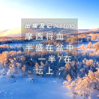 Picture 04 - 出 埃 及 记 24:6 CUVS - 摩 西 将 血 一 半 盛 在 盆 中 ， 一 - Bible Verse Picture