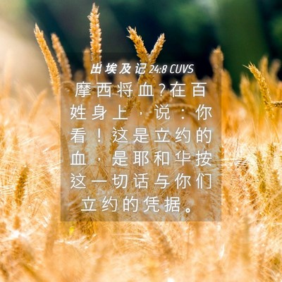 Picture 04 - 出 埃 及 记 24:8 CUVS - 摩 西 将 血 ? 在 百 姓 身 上 ， 说 ： - Bible Verse Picture