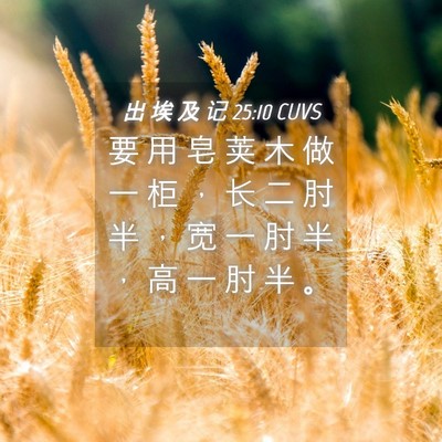 Picture 04 - 出 埃 及 记 25:10 CUVS - 要 用 皂 荚 木 做 一 柜 ， 长 二 肘 - Bible Verse Picture