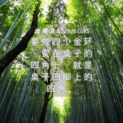 Picture 04 - 出 埃 及 记 25:26 CUVS - 要 做 四 个 金 环 ， 安 在 桌 子 的 - Bible Verse Picture