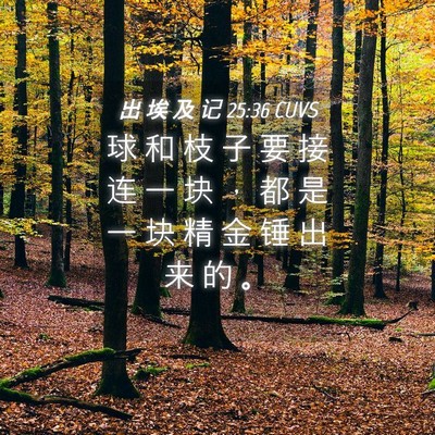 Picture 04 - 出 埃 及 记 25:36 CUVS - 球 和 枝 子 要 接 连 一 块 ， 都 是 - Bible Verse Picture