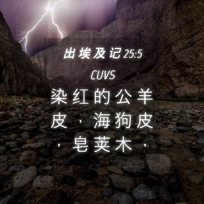 Picture 04 - 出 埃 及 记 25:5 CUVS - 染 红 的 公 羊 皮 ， 海 狗 皮 ， 皂 - Bible Verse Picture