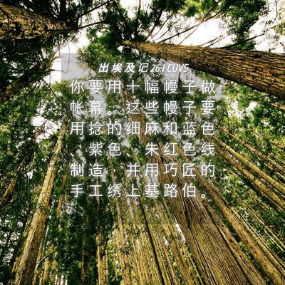 Picture 04 - 出 埃 及 记 26:1 CUVS - 你 要 用 十 幅 幔 子 做 帐 幕 。 这 - Bible Verse Picture