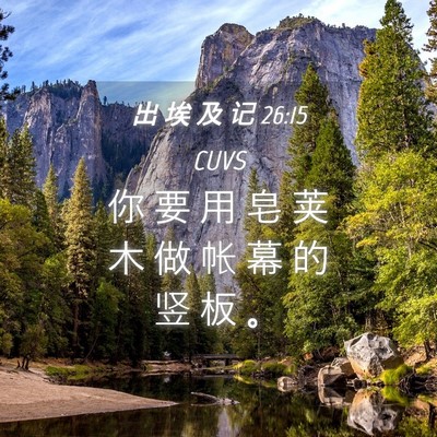 Picture 04 - 出 埃 及 记 26:15 CUVS - 你 要 用 皂 荚 木 做 帐 幕 的 竖 板 - Bible Verse Picture