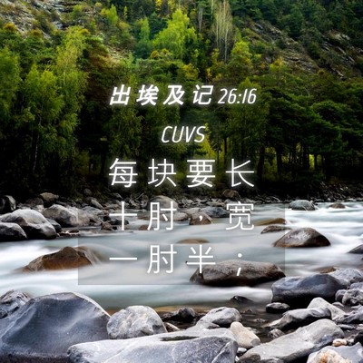 Picture 04 - 出 埃 及 记 26:16 CUVS - 每 块 要 长 十 肘 ， 宽 一 肘 半 - Bible Verse Picture