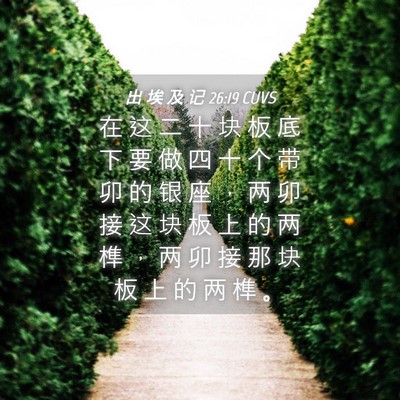 Picture 04 - 出 埃 及 记 26:19 CUVS - 在 这 二 十 块 板 底 下 要 做 四 十 - Bible Verse Picture