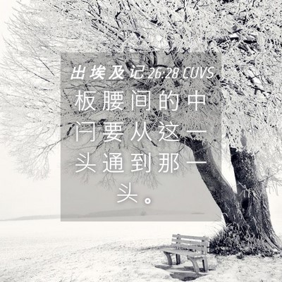 Picture 04 - 出 埃 及 记 26:28 CUVS - 板 腰 间 的 中 闩 要 从 这 一 头 通 - Bible Verse Picture