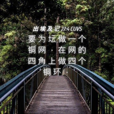 Picture 04 - 出 埃 及 记 27:4 CUVS - 要 为 坛 做 一 个 铜 网 ， 在 网 的 - Bible Verse Picture