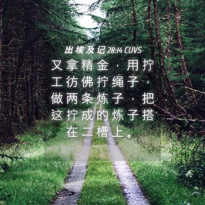 Picture 04 - 出 埃 及 记 28:14 CUVS - 又 拿 精 金 ， 用 拧 工 彷 佛 拧 绳 - Bible Verse Picture