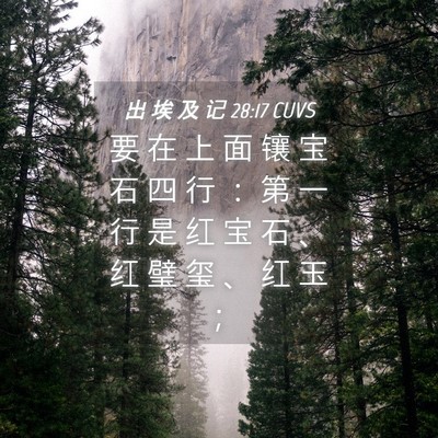 Picture 04 - 出 埃 及 记 28:17 CUVS - 要 在 上 面 镶 宝 石 四 行 ： 第 一 - Bible Verse Picture