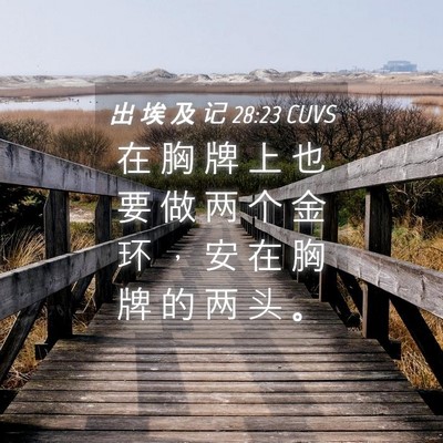 Picture 04 - 出 埃 及 记 28:23 CUVS - 在 胸 牌 上 也 要 做 两 个 金 环 ， - Bible Verse Picture